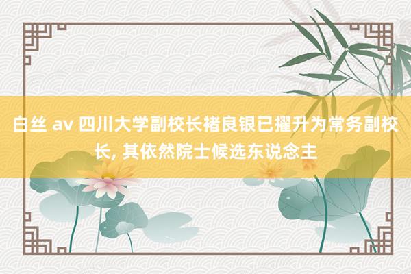 白丝 av 四川大学副校长褚良银已擢升为常务副校长, 其依然院士候选东说念主