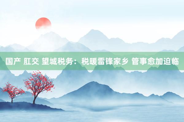 国产 肛交 望城税务：税暖雷锋家乡 管事愈加迫临