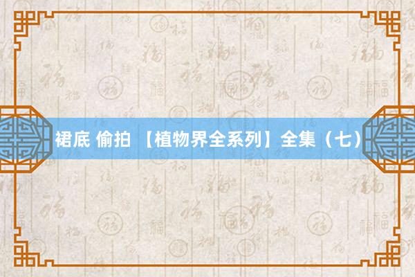 裙底 偷拍 【植物界全系列】全集（七）