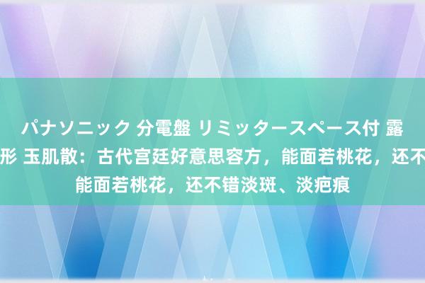 パナソニック 分電盤 リミッタースペース付 露出・半埋込両用形 玉肌散：古代宫廷好意思容方，能面若桃花，还不错淡斑、淡疤痕