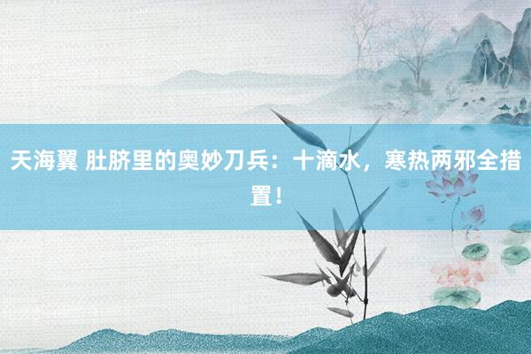 天海翼 肚脐里的奥妙刀兵：十滴水，寒热两邪全措置！