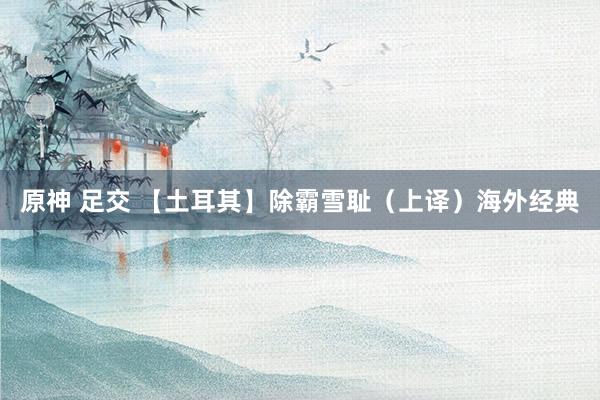 原神 足交 【土耳其】除霸雪耻（上译）海外经典
